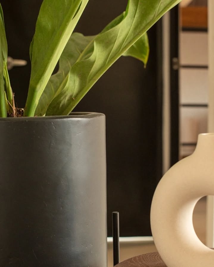 319471881_127615373494451_1342044331382649819_n